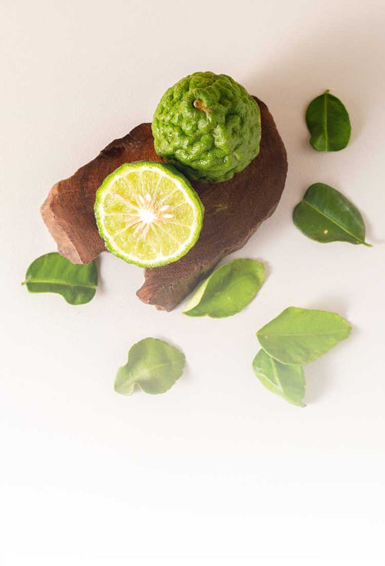 Organic bergamot fruit and leaves sustainably sourced from Thailand, displayed on natural stone.