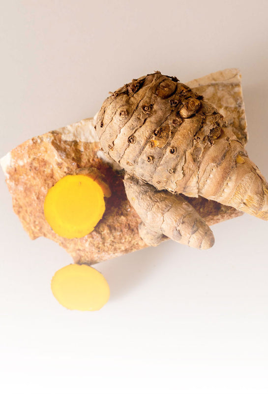 Sliced organic turmeric sustainably sourced from Thailand and displayed on natural stone.
