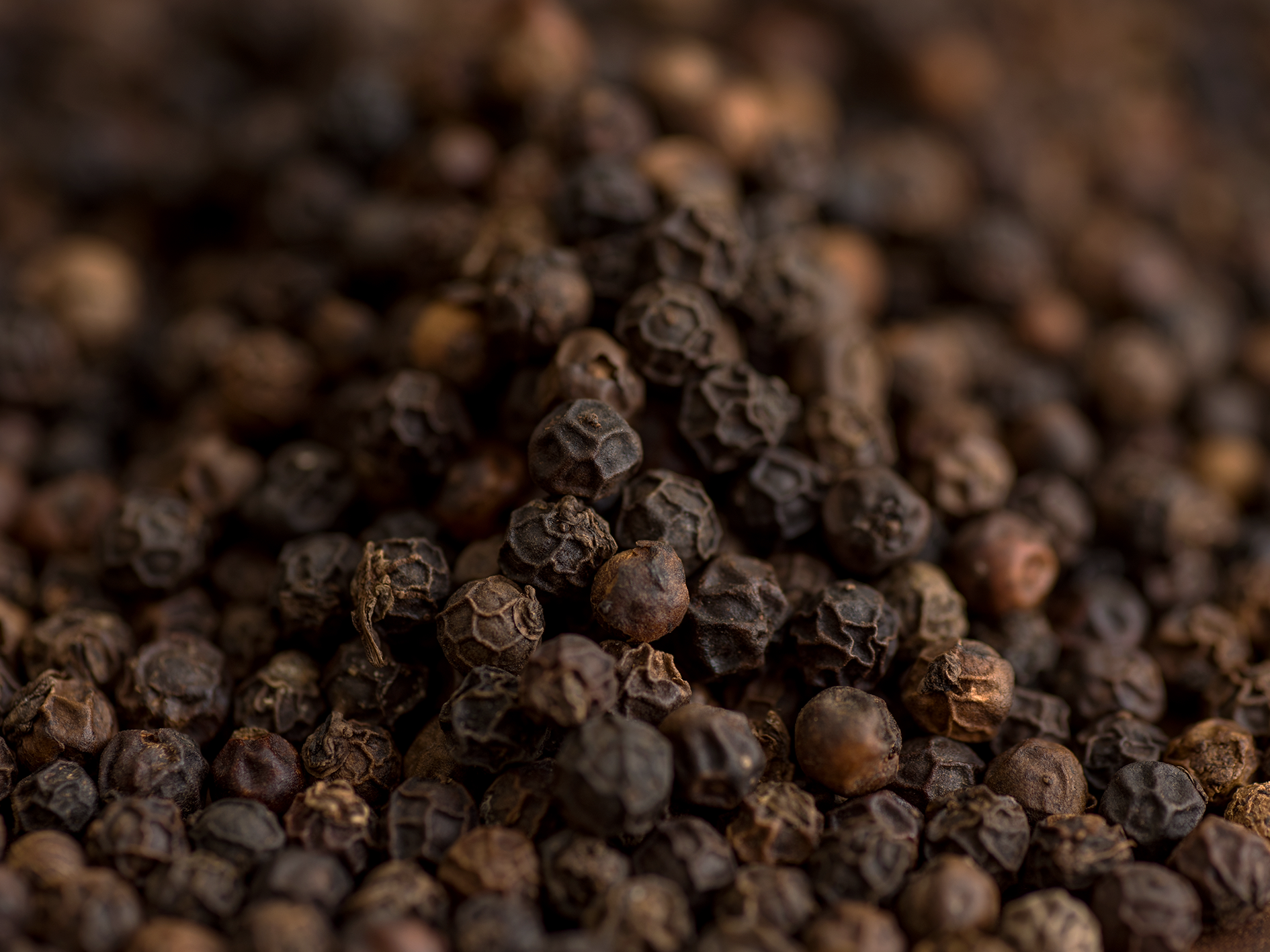 Black Pepper · พริกไทยดำ