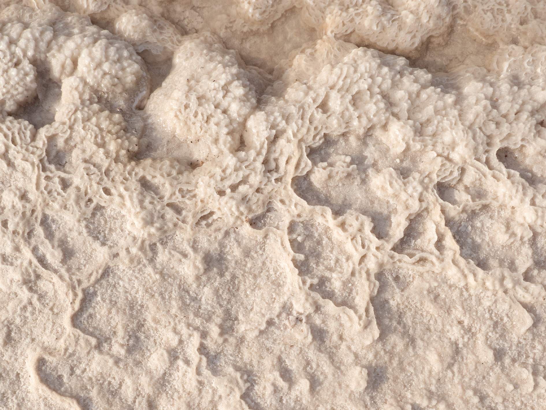 Fleur de Sel · ดอกเกลือ