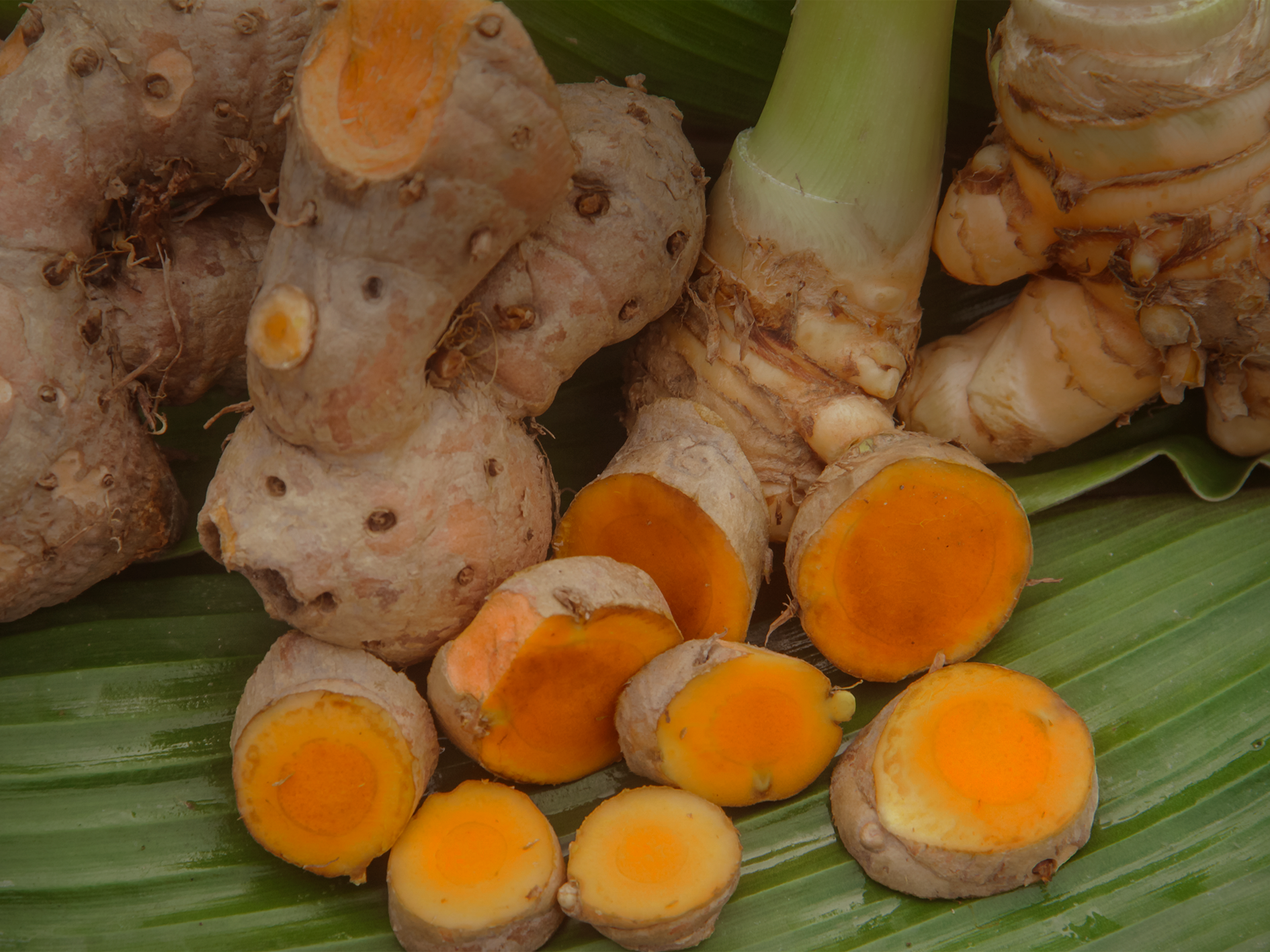 Turmeric · ขมิ้นชัน