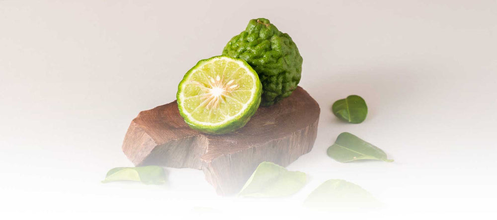 Organic bergamot fruit and leaves sustainably sourced from Thailand, displayed on natural stone.