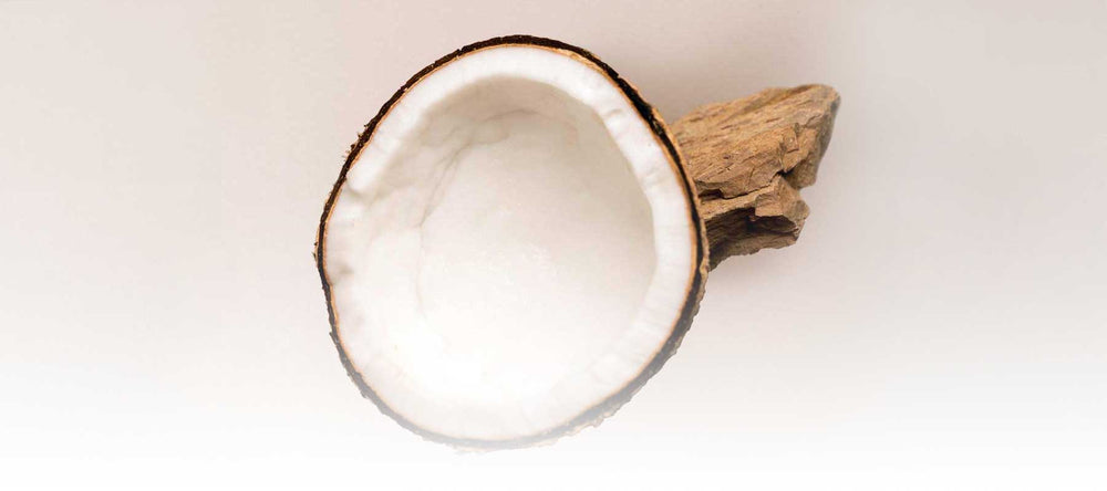 Half-cut coconut showing fresh white flesh that's sustainably sourced from Thailand and showcasing Sudtana’s commitment to clean, eco-friendly ingredients.