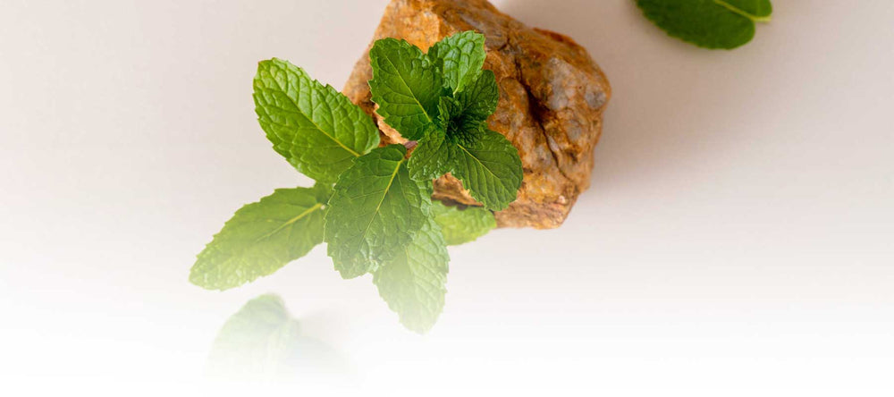 Organic peppermint leaves sustainably sourced from Thailand and displayed on natural stone, ensuring all-natural ingredients for all products of SUDTANA.