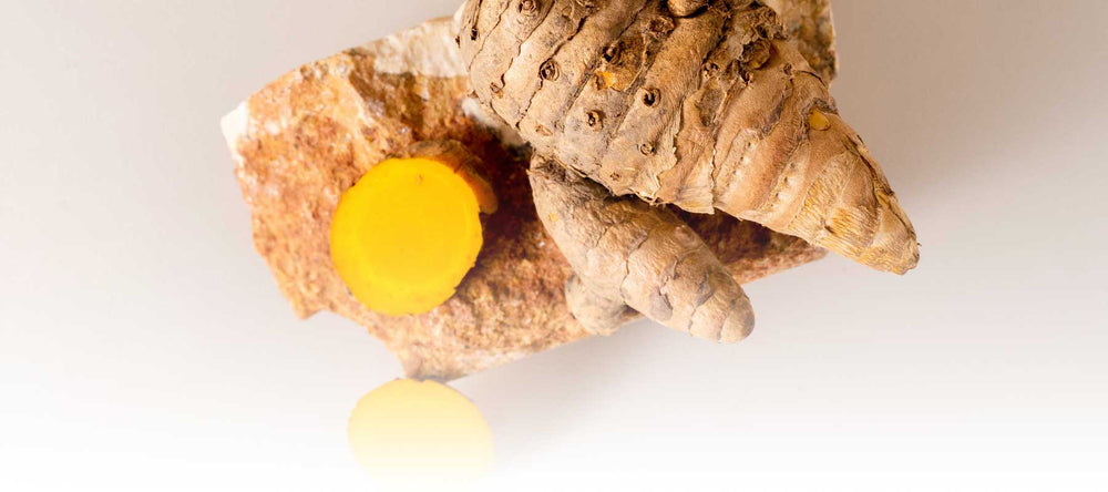 Sliced organic turmeric sustainably sourced from Thailand and displayed on natural stone.