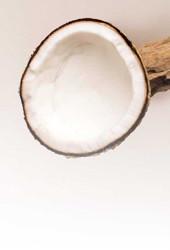 Half-cut coconut showing fresh white flesh that's sustainably sourced from Thailand and showcasing SUDTANA’s commitment to clean, eco-friendly ingredients.