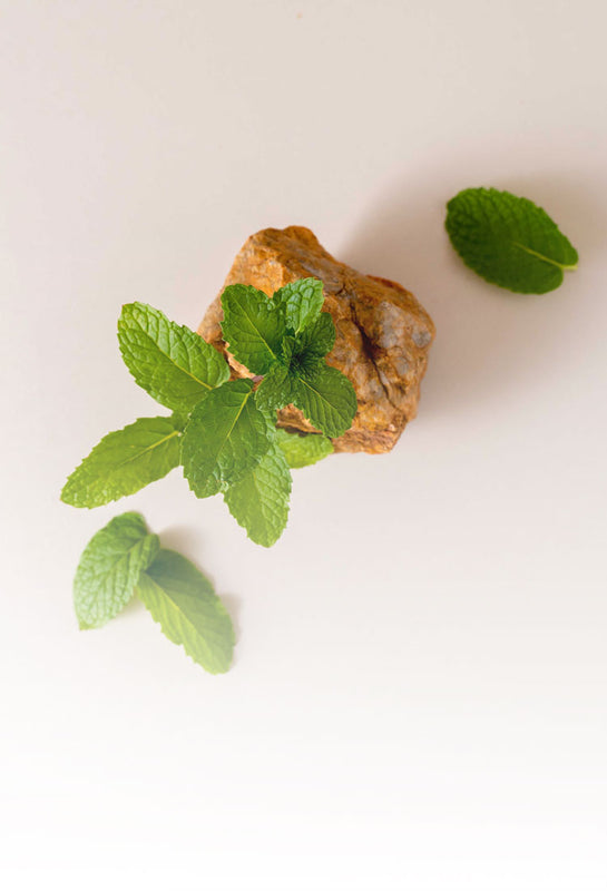 Organic peppermint leaves sustainably sourced from Thailand and displayed on natural stone, ensuring all-natural ingredients for all products of SUDTANA.